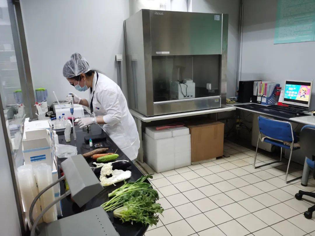 新政镇食品检测实验室装修方案